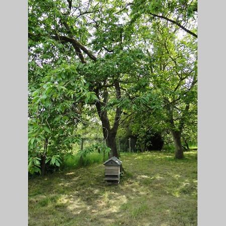 Miller'S Farm. Cottage On The Auhtie For 2 Hem-Hardinval 外观 照片