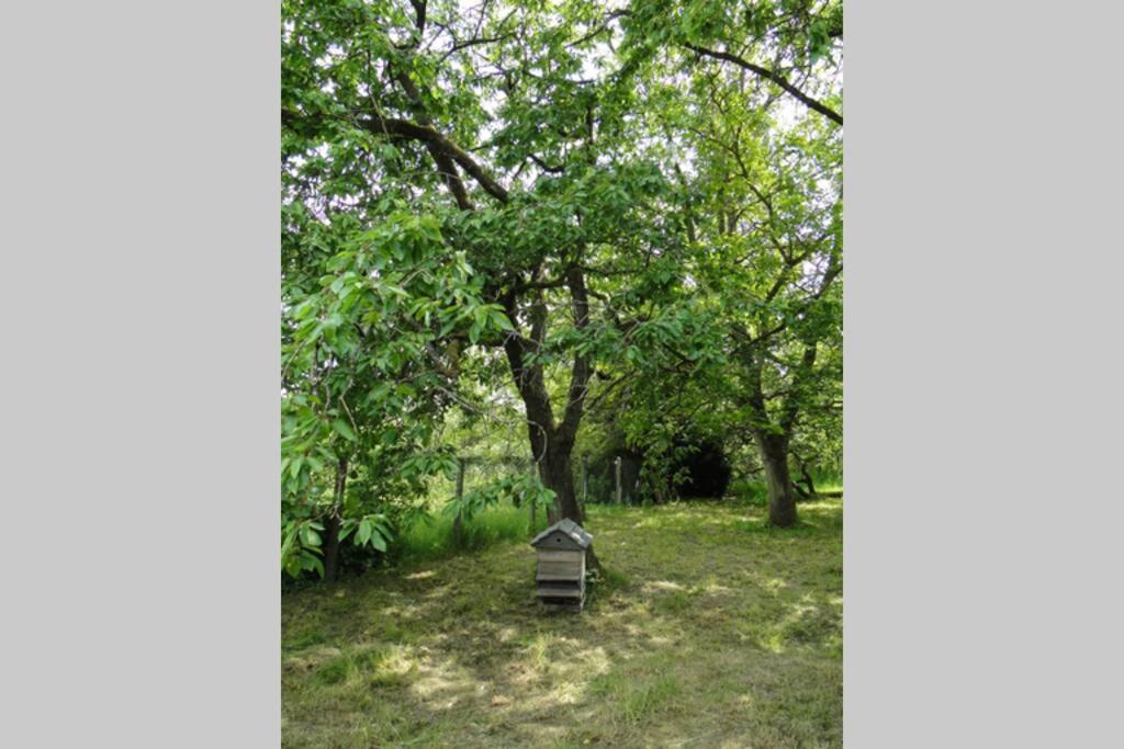 Miller'S Farm. Cottage On The Auhtie For 2 Hem-Hardinval 外观 照片